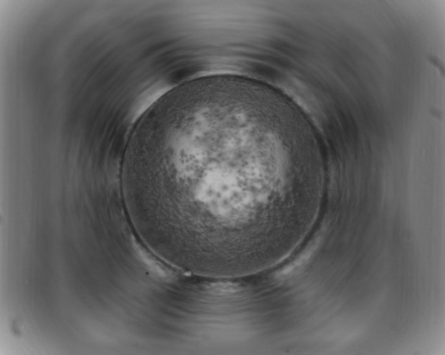 X0000097811137200803141113