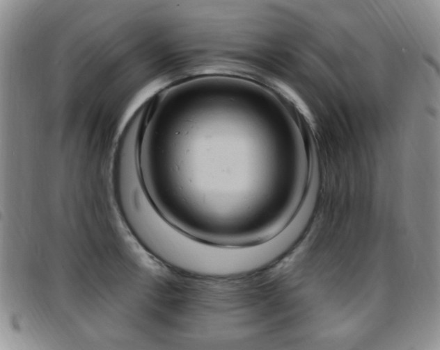 X0000097811138200803141113