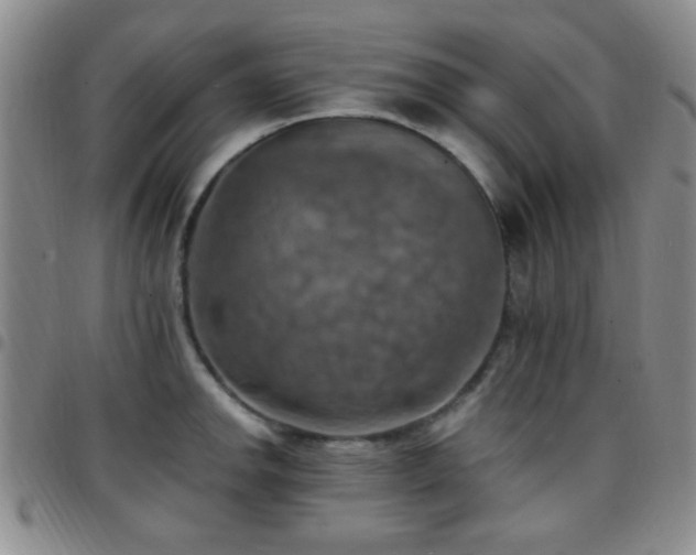 X0000097811142200803141113