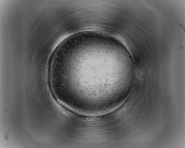 X0000097811147200803141113