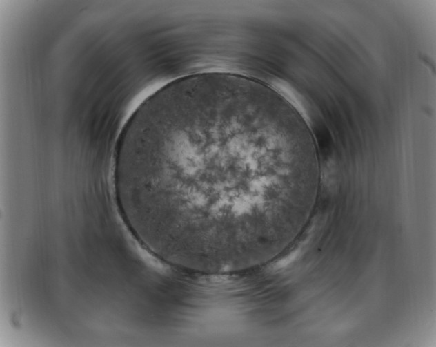 X0000097811149200803141113
