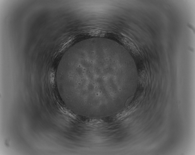 X0000097811154200803141112