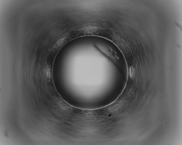 X0000097811155200803141112
