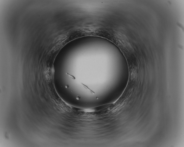 X0000097811156200803141112