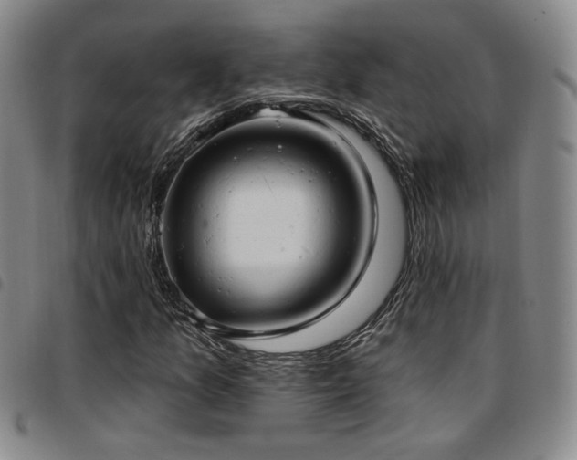 X0000097811157200803141112
