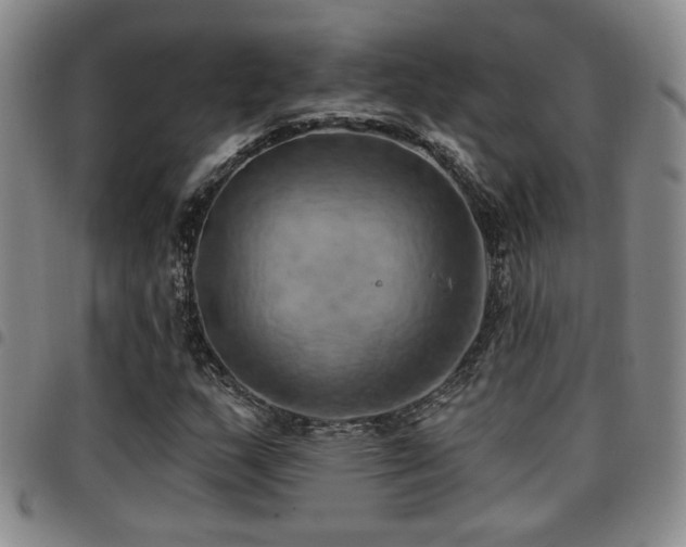 X0000097811159200803141112