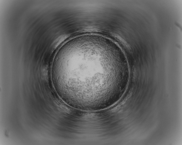 X0000097811162200803141112
