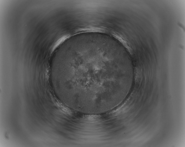 X0000097811163200803141112