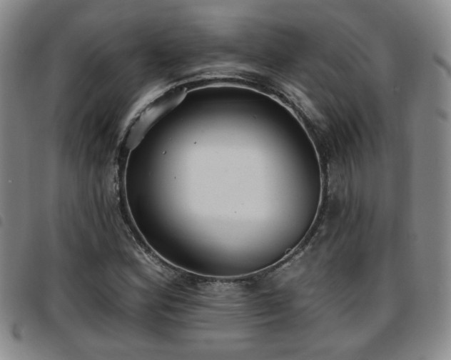 X0000097811164200803141112