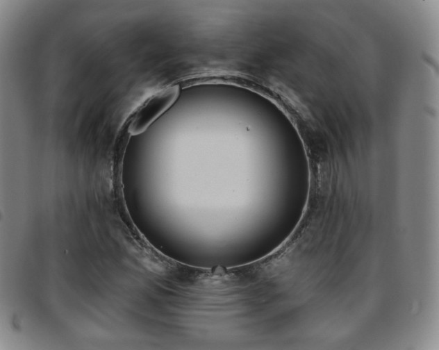 X0000097811165200803141112