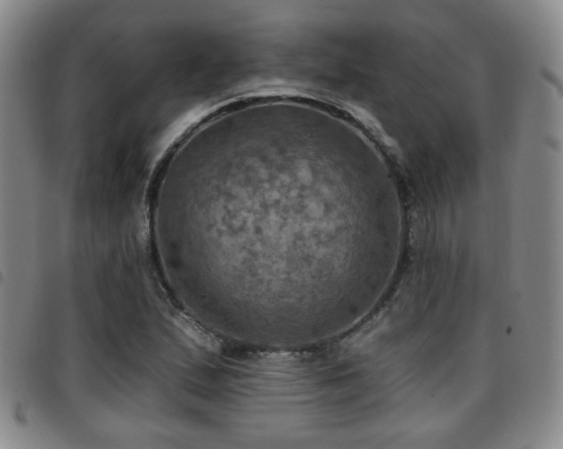 X0000097811167200803141112