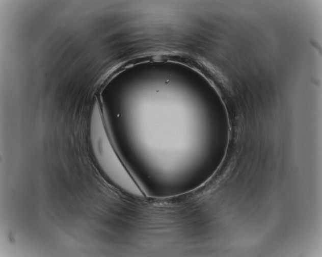 X0000097811169200803141112