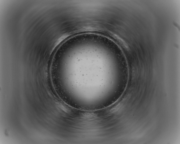 X0000097811170200803141112