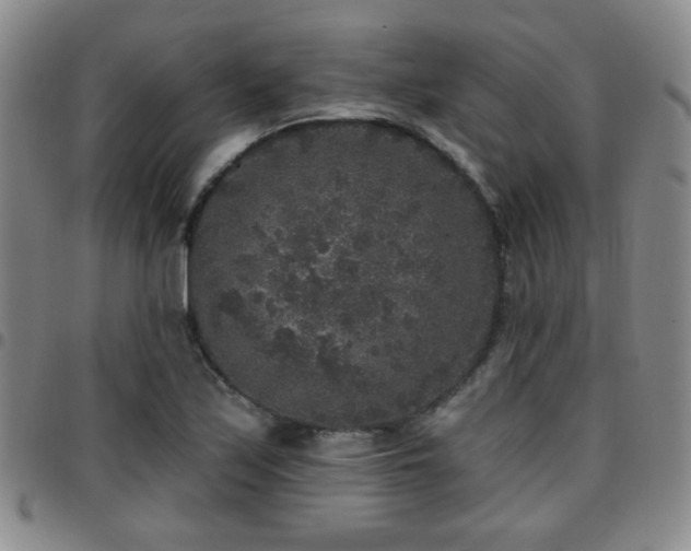 X0000097811171200803141112