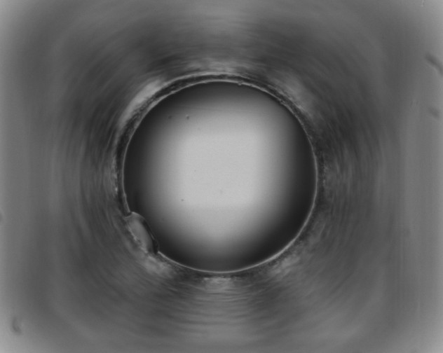 X0000097811172200803141112