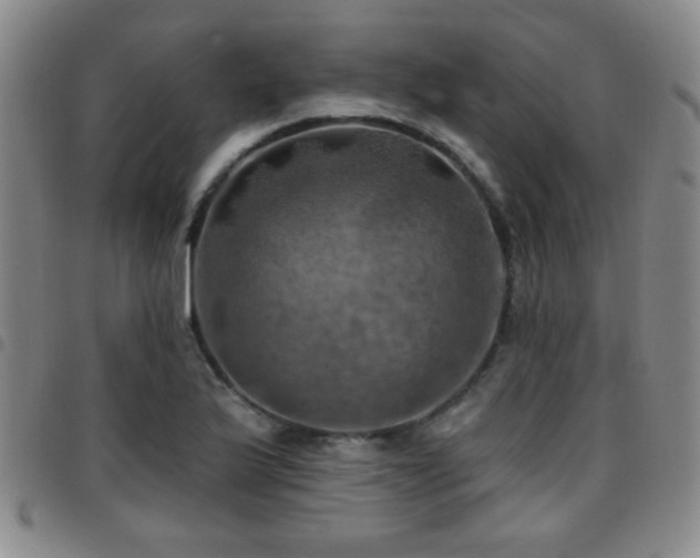 X0000097811175200803141112