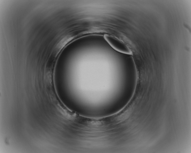 X0000097811177200803141112