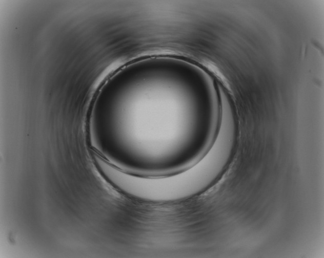 X0000097811181200803141112
