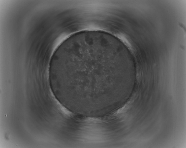 X0000097811183200803141112