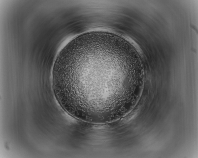 X0000097811199200803141112