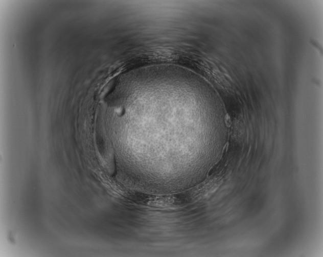 X0000097811201200803141111