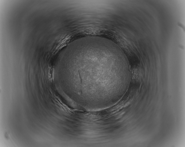 X0000097811202200803141111