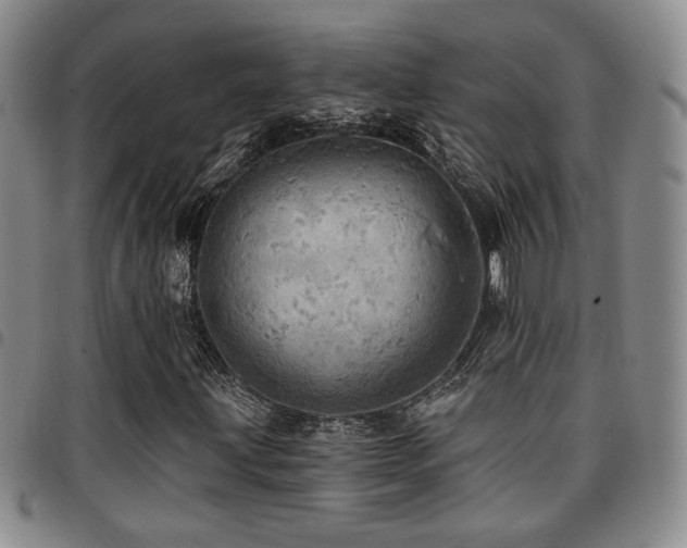 X0000097811203200803141111