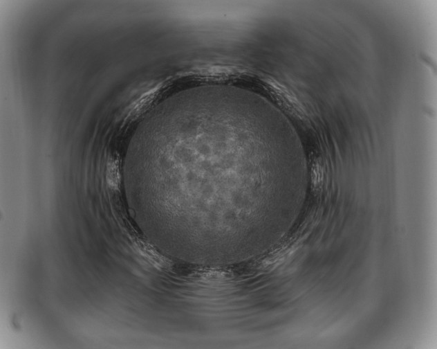X0000097811204200803141111