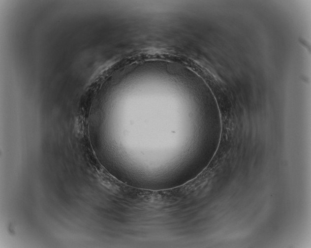 X0000097811207200803141111