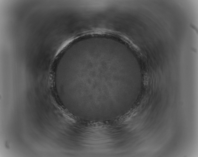 X0000097811208200803141111