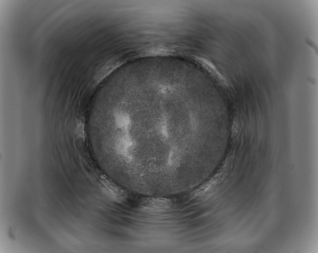 X0000097811209200803141111