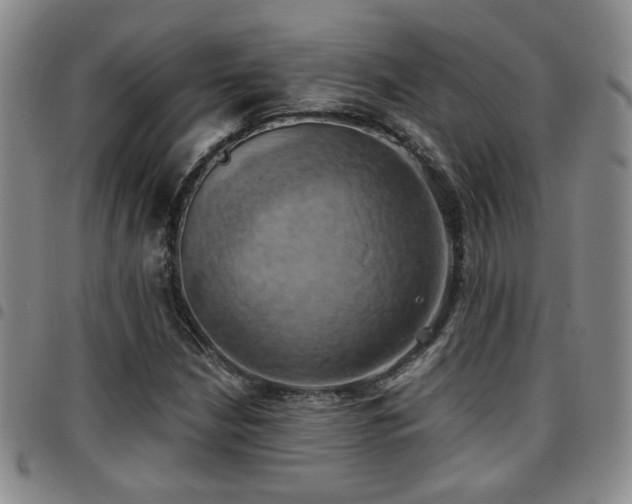 X0000097811210200803141111