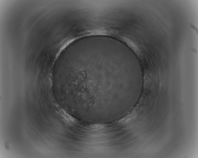 X0000097811212200803141111