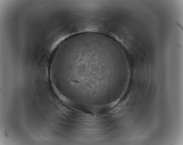 X0000097811214200803141111
