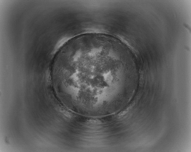 X0000097811215200803141111