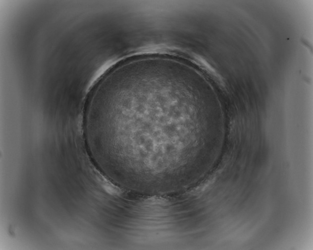 X0000097811216200803141111