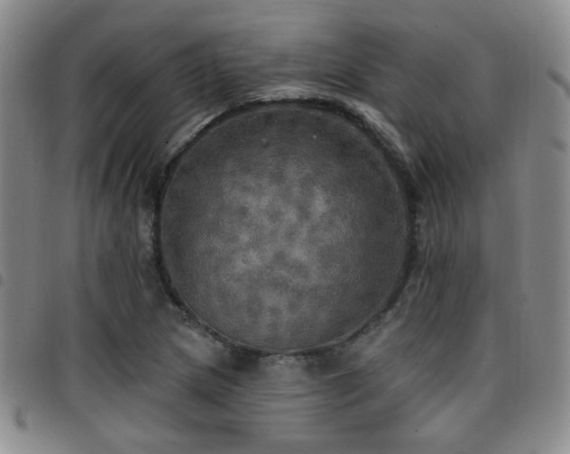 X0000097811217200803141111