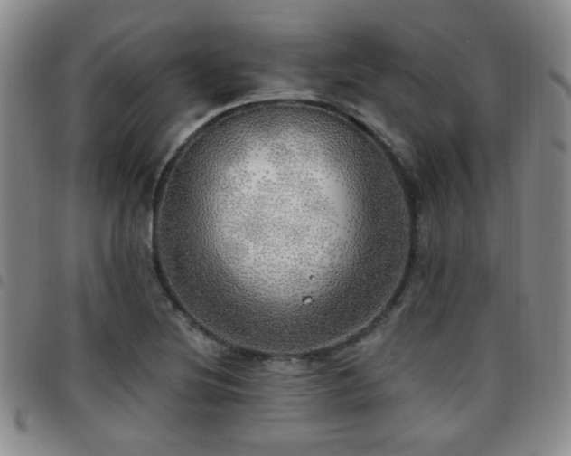 X0000097811220200803141111