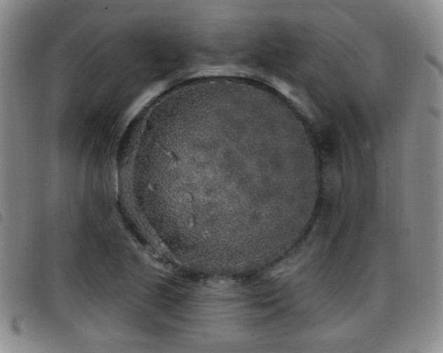 X0000097811221200803141111