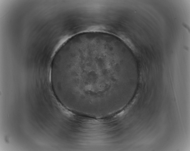X0000097811224200803141111