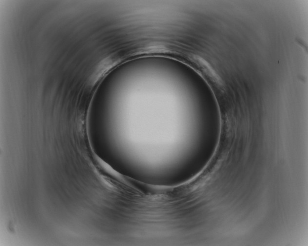 X0000097811225200803141111