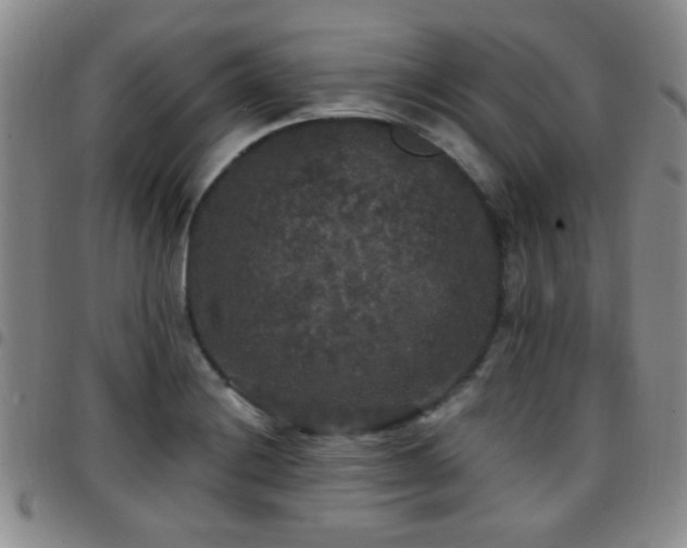 X0000097811228200803141111
