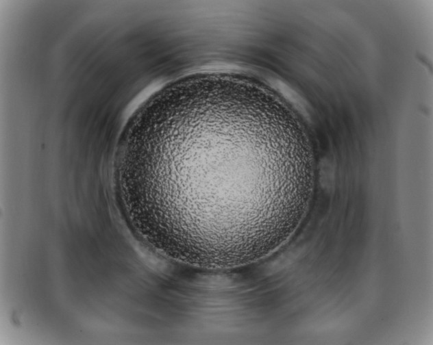 X0000097811229200803141111