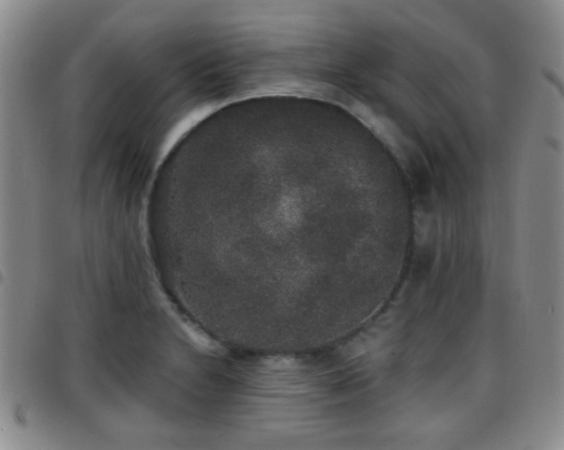 X0000097811230200803141111