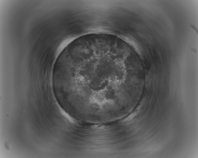 X0000097811231200803141111