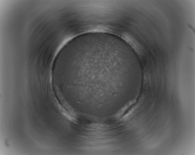 X0000097811232200803141111