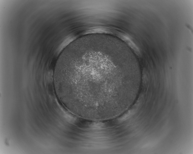 X0000097811233200803141111