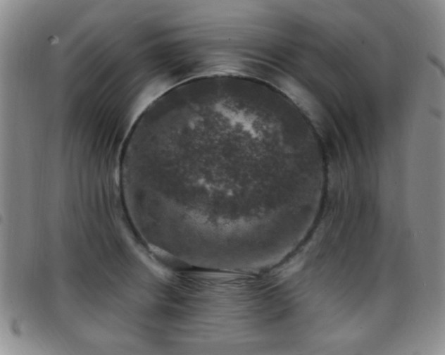 X0000097811234200803141111