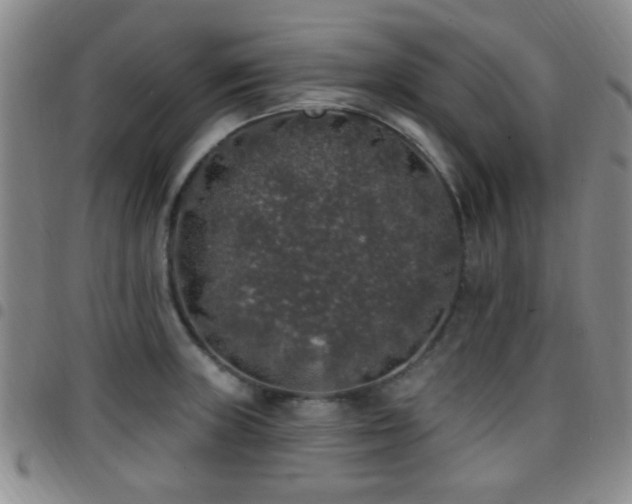 X0000097811235200803141111