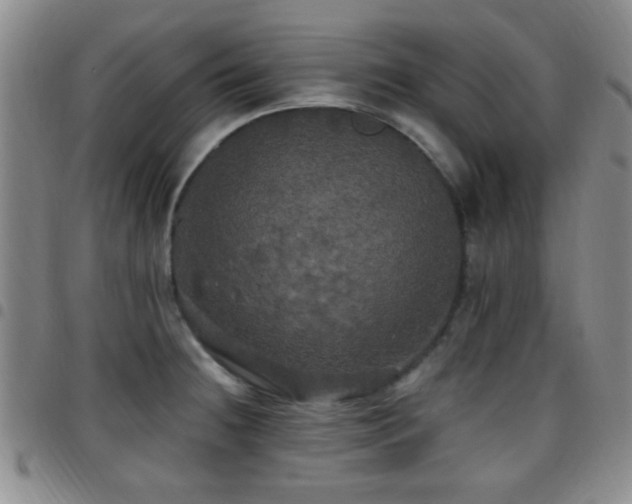 X0000097811236200803141111